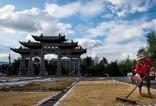 不同地域的腾讯服务器价格有多少差异?深度解析各服务器区域的投资成本与趋势走向。-优乐评测网