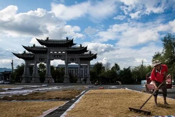 不同地域的腾讯服务器价格有多少差异