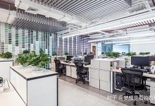 地方分公司的数字化转型先锋-优乐评测网