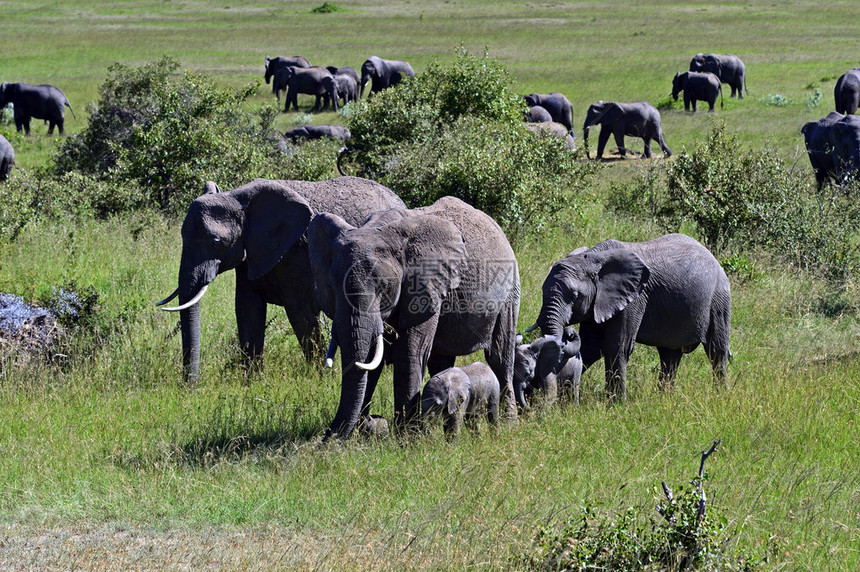 非洲云计算的崛起与机遇