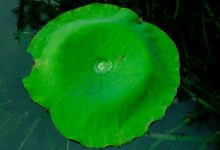 展现第四代绿色产业园数据中心的独特优势与前景展望-优乐评测网