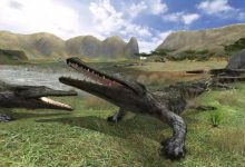 探寻狂野大陆服务器密码的具体数字组合-优乐评测网