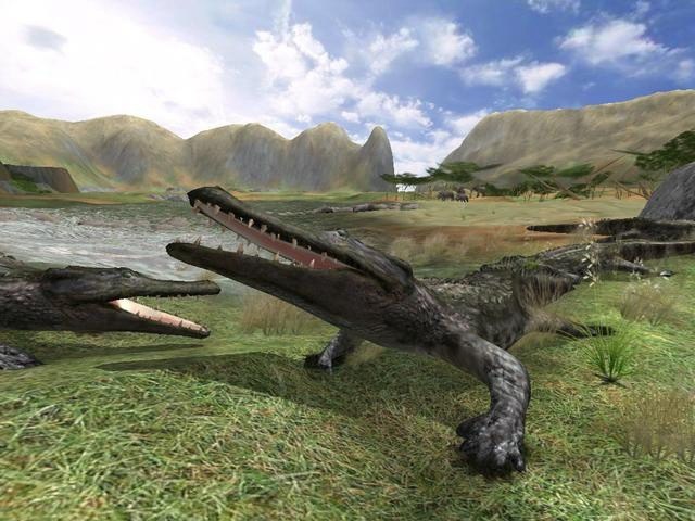 探寻狂野大陆服务器密码的具体数字组合