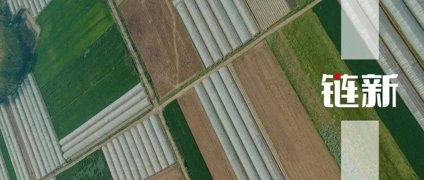 各大运营商价格差异