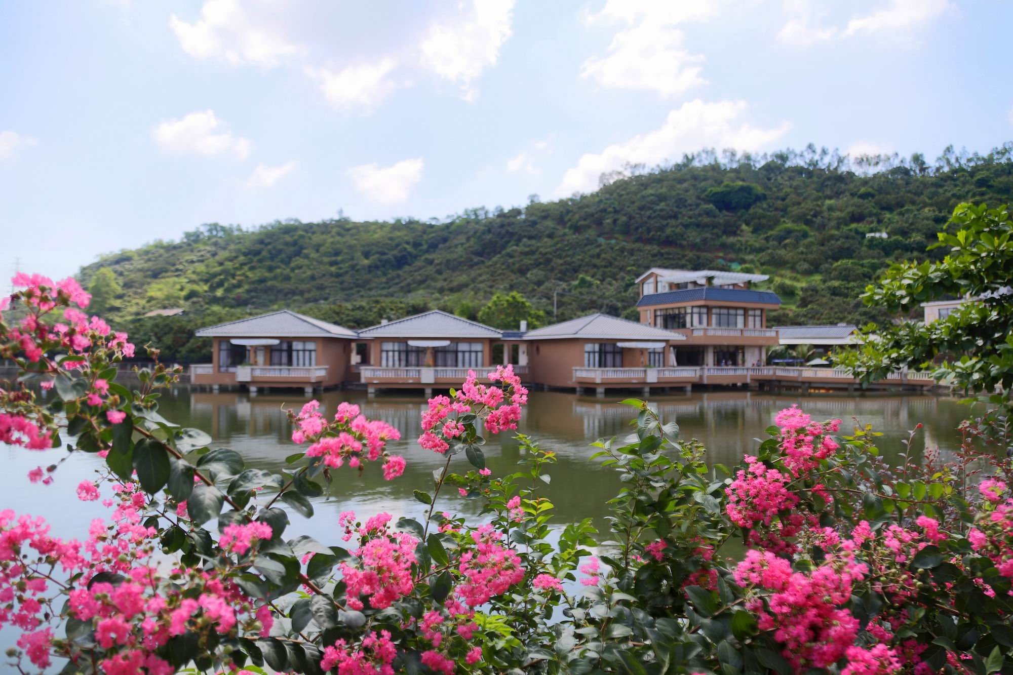 荔景通讯网络的尖端技术应用