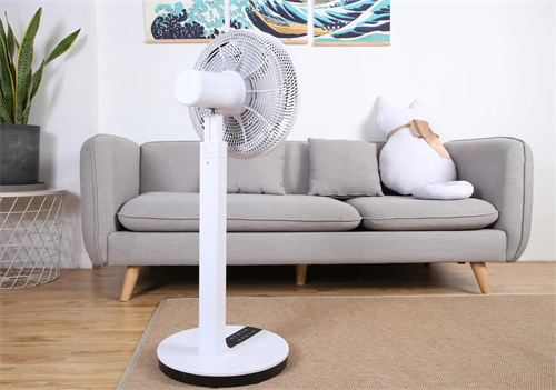 不同类型风扇价格差异