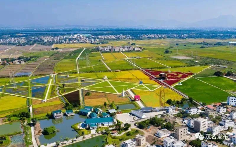 融合服务器市场价格概览及比较