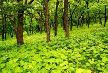 绿色数据港的行业变革者-优乐评测网