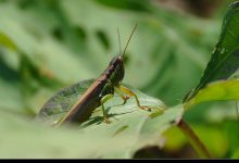 最新更新:探索价格和预算的重要性以及-优乐评测网