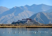 西藏地区首屈一指医院的云端之旅-优乐评测网