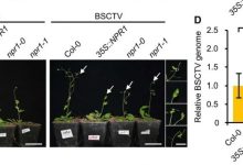 揭示不同类型和服务需求对服务器容量产生影响的关键要素。-优乐评测网