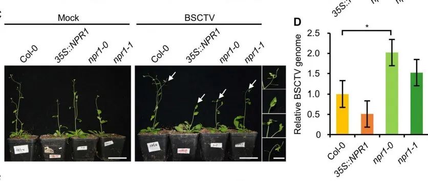 揭示不同类型和服务需求对服务器容量产生影响的关键要素