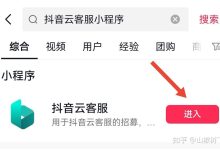 抖音云服务的年度支出构成分析。-优乐评测网