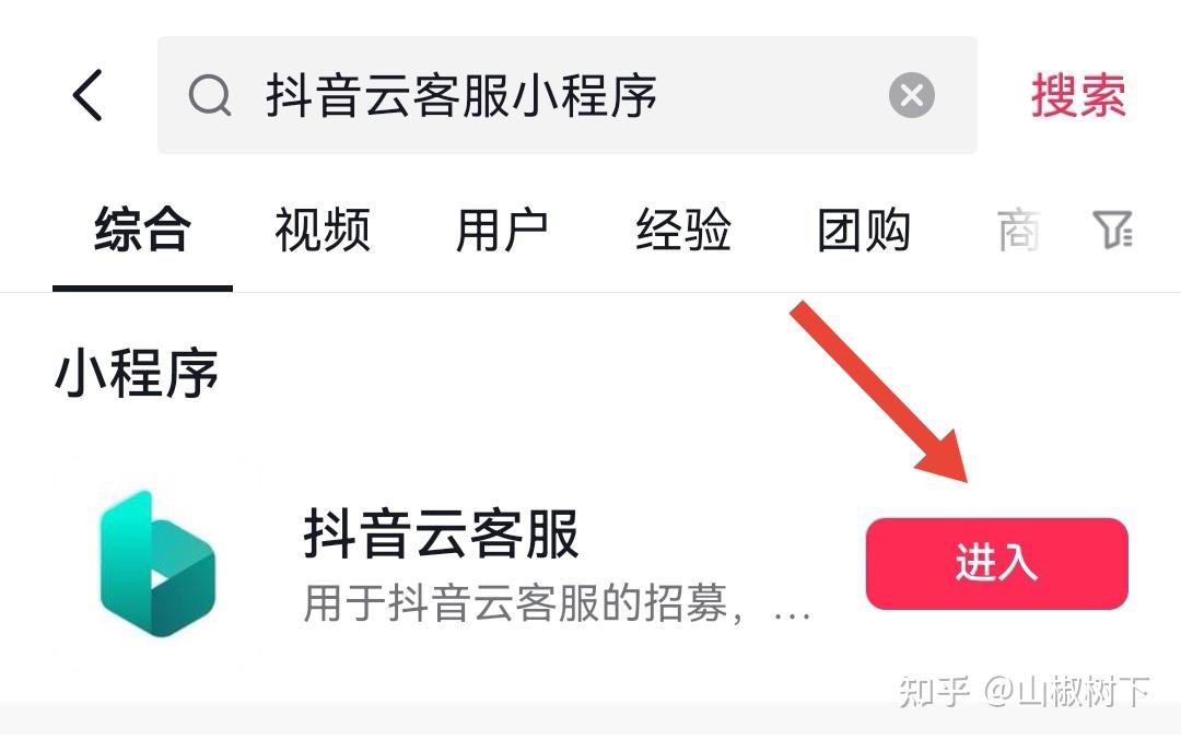 抖音云服务的年度支出构成分析