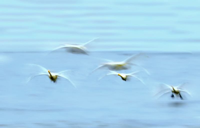 飞塔服务器回收价格究竟多少