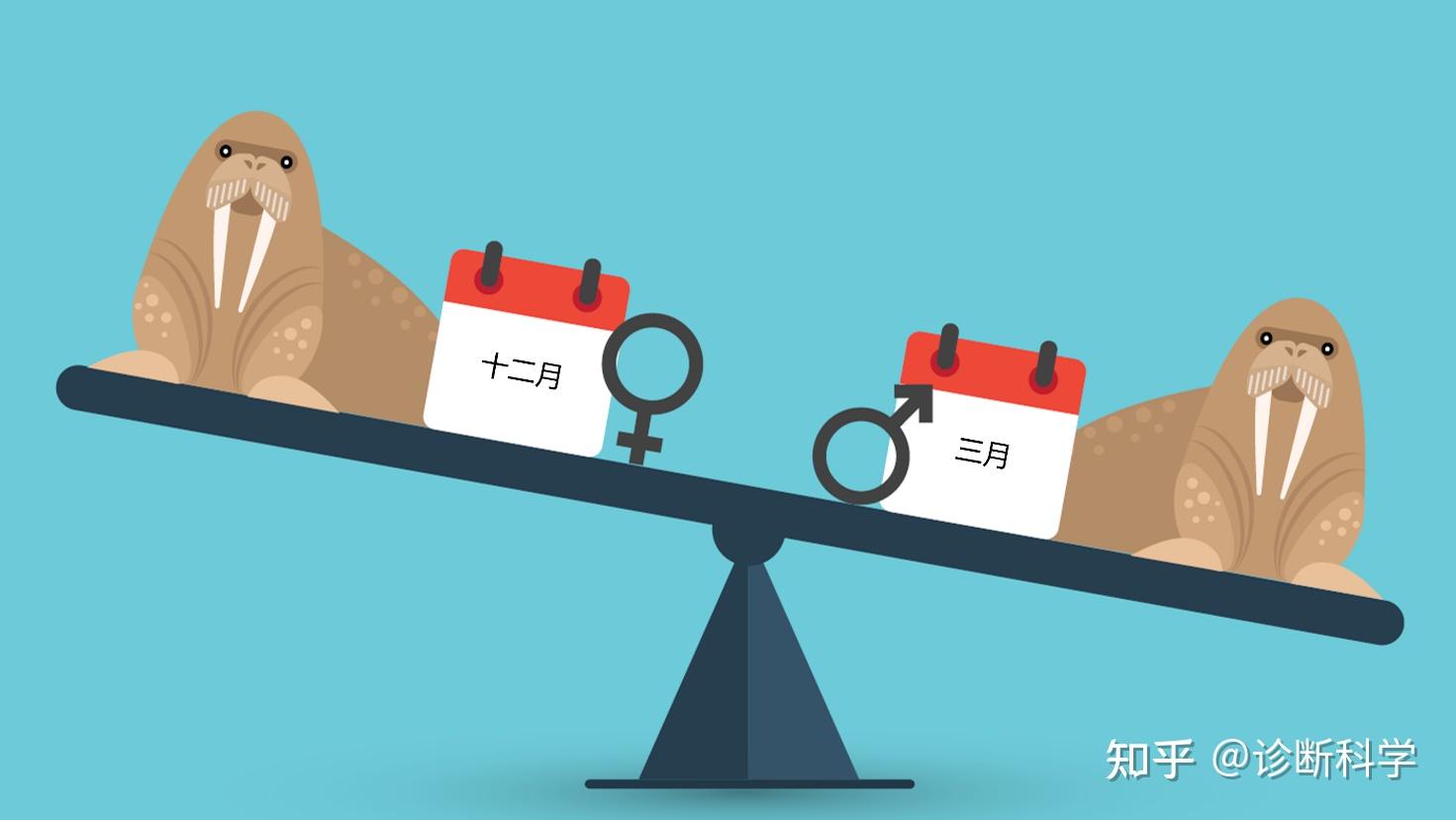 多个因素决定王者服务器的价格