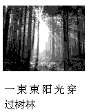 多方面因素影响