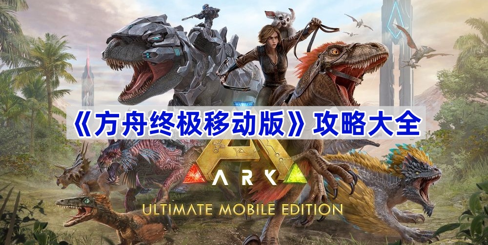 全面解析方舟服务器数量及分布