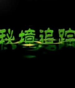 全面解析服务器安全机制与操作指南