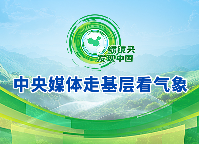 气象服务器租用价格因素解析