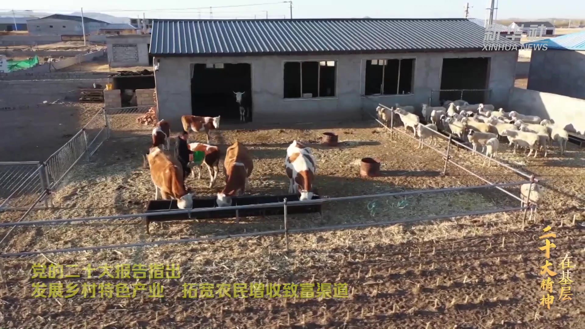 全面了解服务器市场价格趋势及个性化配置因素
