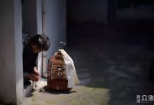 哪些因素会影响租用价格？-优乐评测网