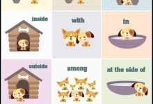 全方位解析英伟达服务器价格-优乐评测网