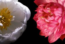 究竟要花多少钱才能保障一年厂内服务器的正常运行？》-优乐评测网