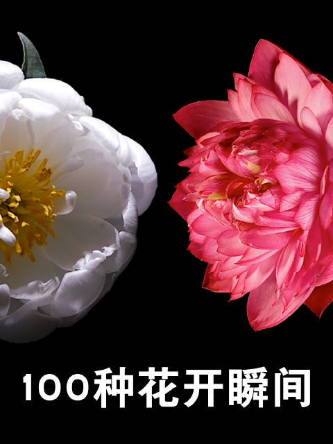 究竟要花多少钱才能保障一年厂内服务器的正常运行