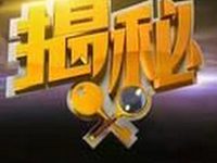 揭秘企业背后的服务器数量差异-优乐评测网