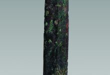 剑外飞仙服务器激活码获取攻略-优乐评测网