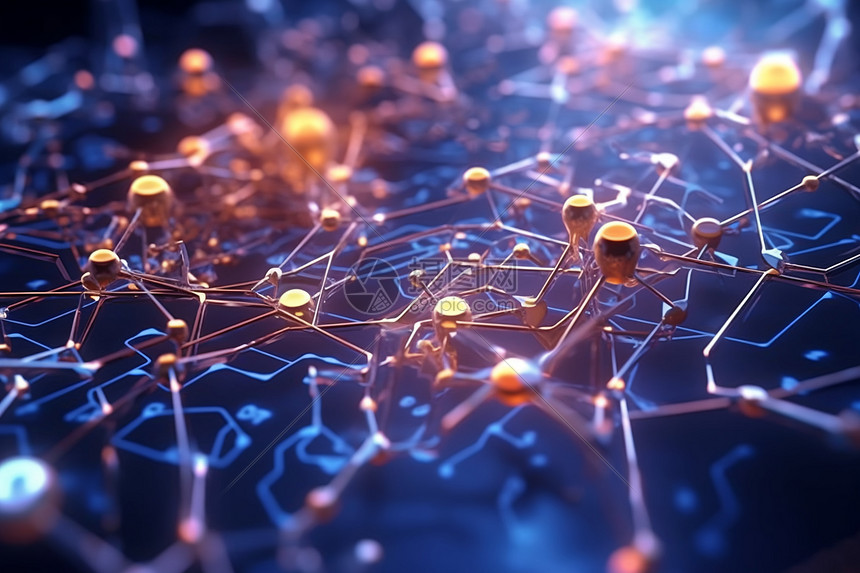 网络配置DNS查询指南