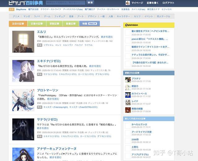 探寻P站真实服务器地址及相关信息
