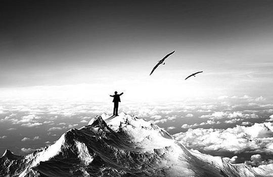 全面解读与解析