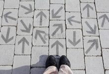 不同因素决定投入成本-优乐评测网