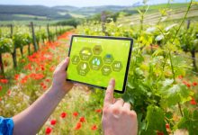 云服务赋能物流业数字化转型-优乐评测网