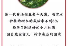 如果您是在寻找特定的软件或应用的服务器地址,建议查阅该软件的官方文档或直接联系官方客服以获取准确的服务器地址。-优乐评测网