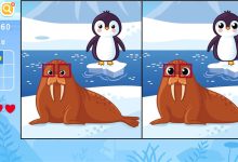 探寻不同选项的一年花费多少?-优乐评测网