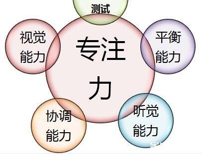 专注于技术创新与高效运营