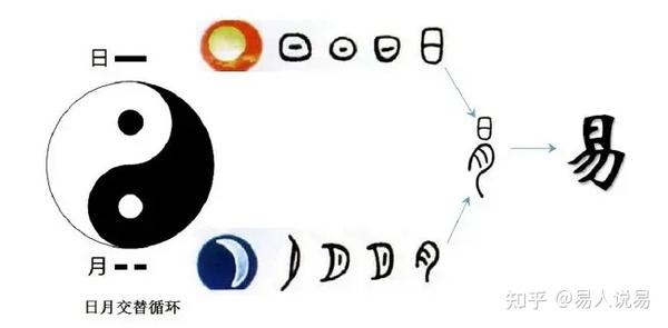 市场行情与品牌差异解读