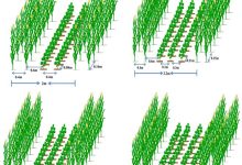 不同配置与带宽的价格差异-优乐评测网