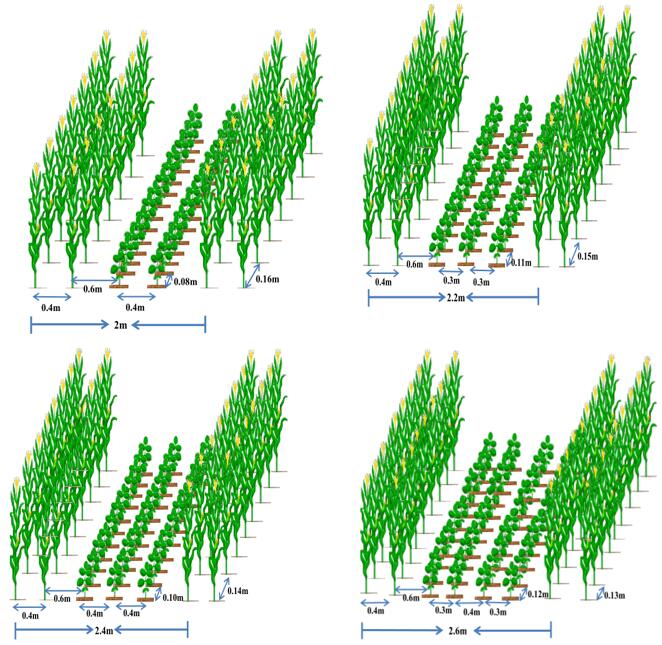 不同配置与带宽的价格差异