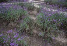 软件功能与性能影响价格-优乐评测网