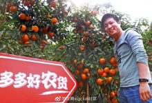 拼多多云时代来临,引领数字化转型新潮流!-优乐评测网