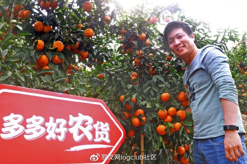 引领数字化转型新潮流！