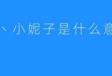 小哥了解DNS服务器地址及其重要性-优乐评测网