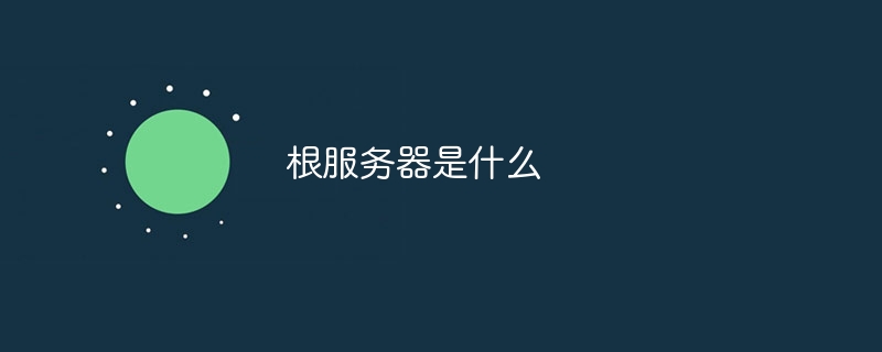 揭秘根服务器价格