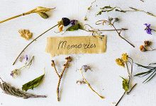 按需定制，满足您的业务需求-优乐评测网