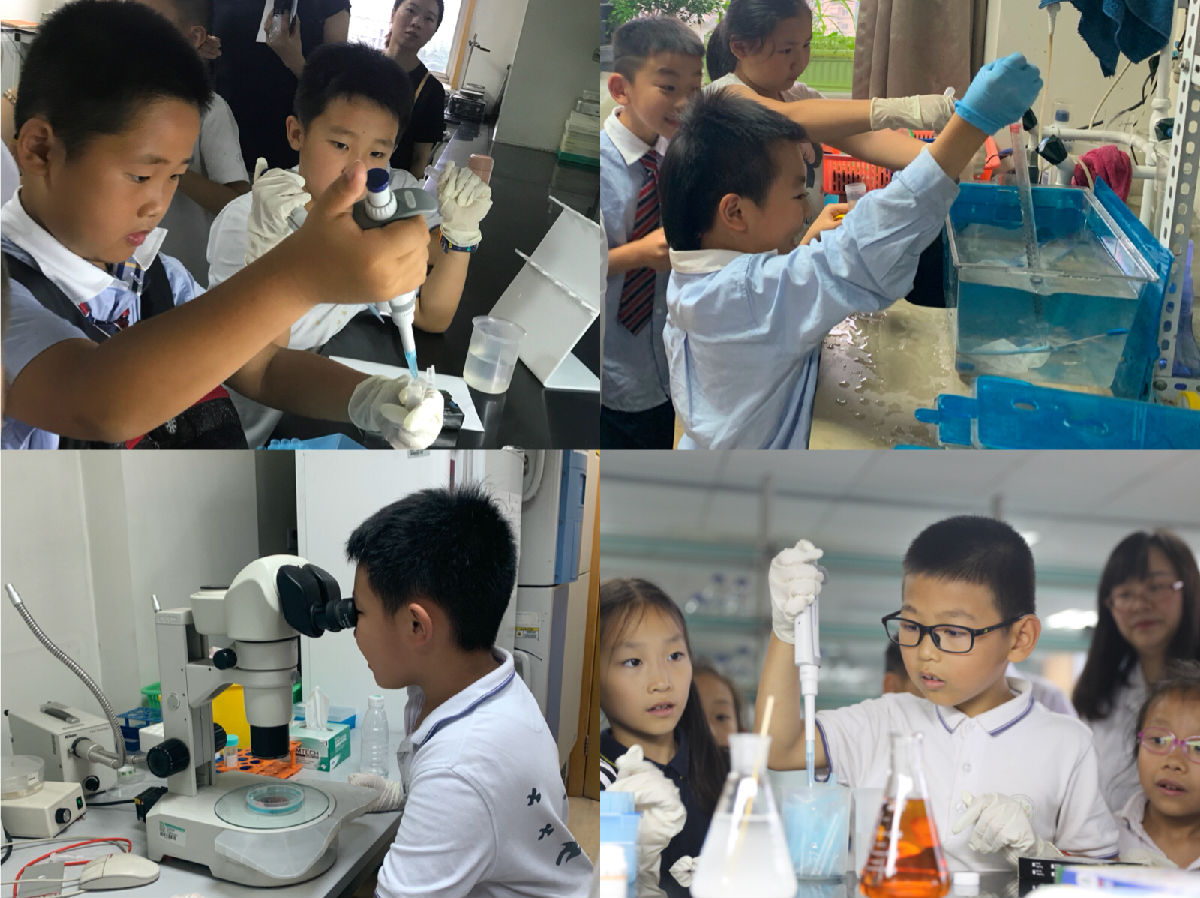 探索生命科学的无限可能