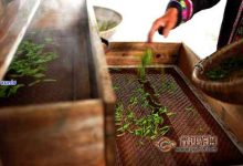 全方位解析江苏服务器现货市场-优乐评测网